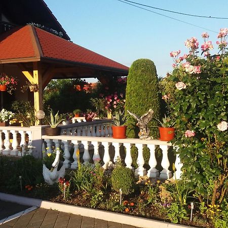 Guesthouse Tomas Čatrnja Exterior foto