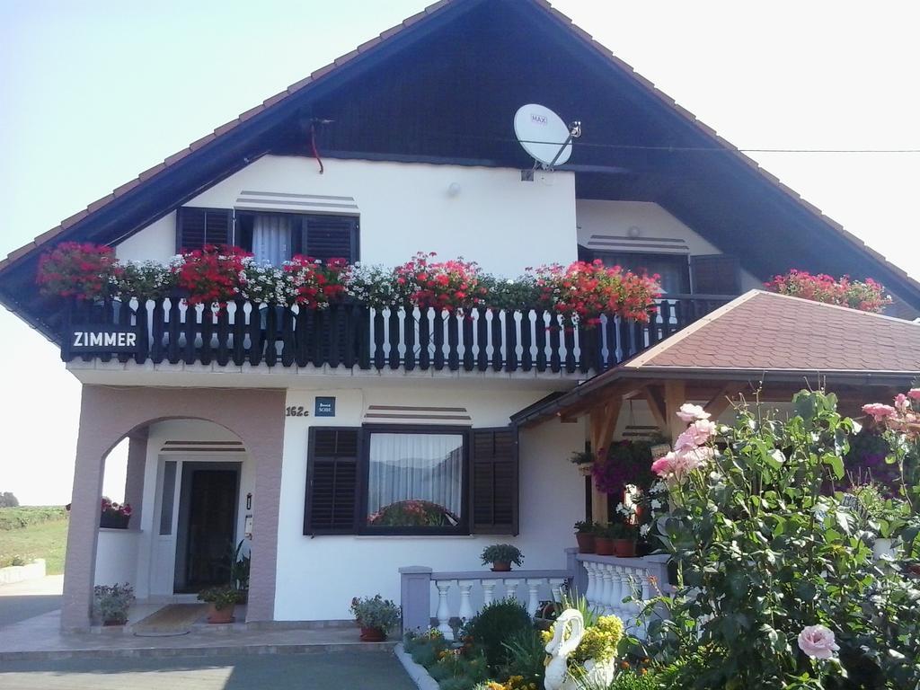 Guesthouse Tomas Čatrnja Exterior foto