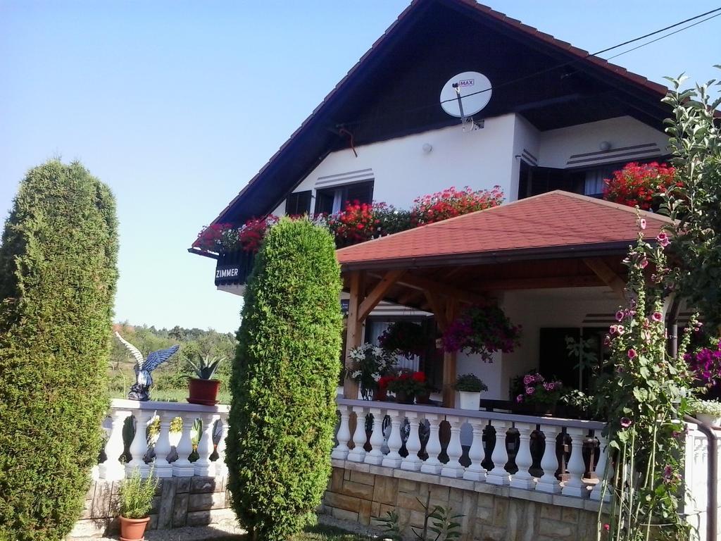 Guesthouse Tomas Čatrnja Exterior foto