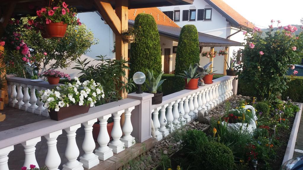 Guesthouse Tomas Čatrnja Exterior foto