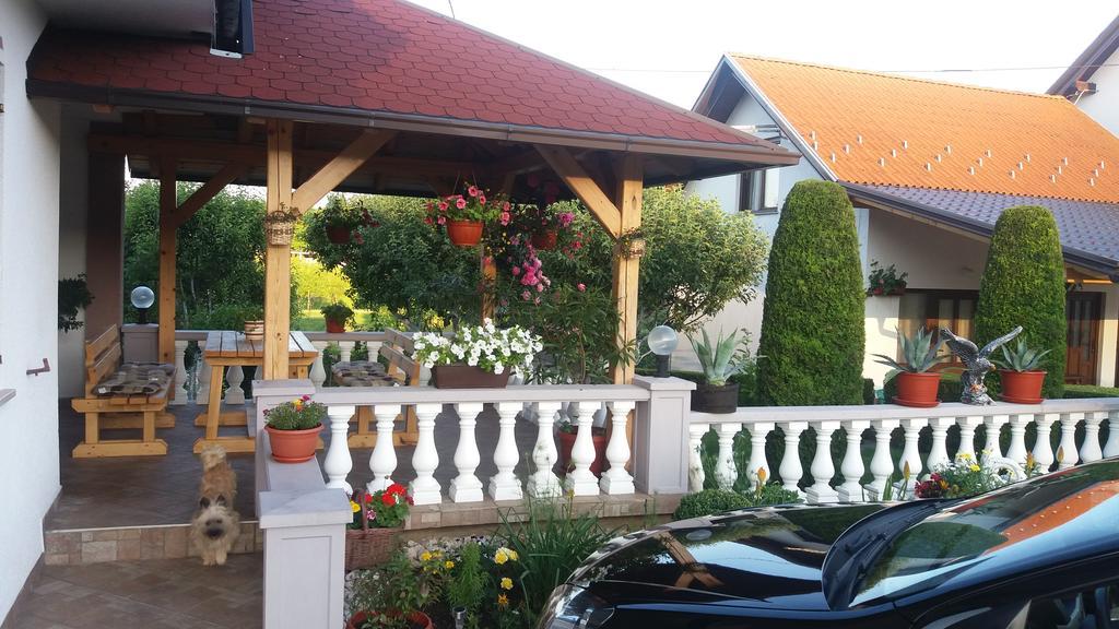 Guesthouse Tomas Čatrnja Exterior foto