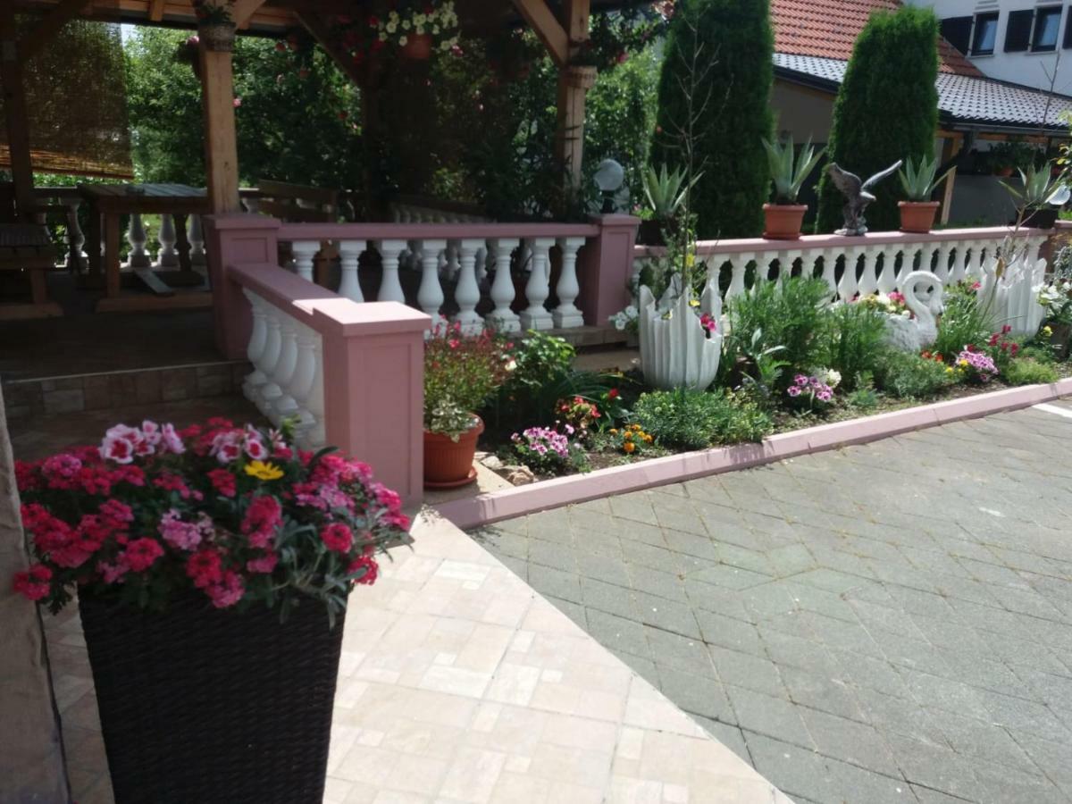 Guesthouse Tomas Čatrnja Exterior foto